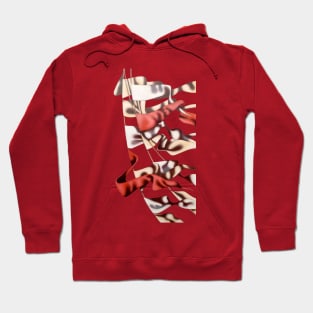 Pennants Hoodie